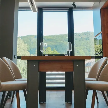 Synyogora Guest house Yaremche