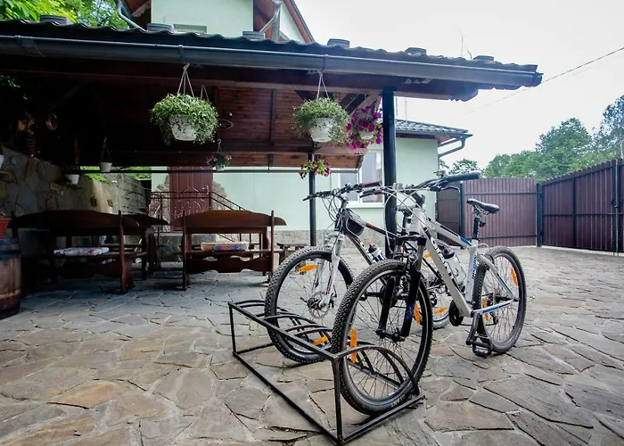 Synyogora Guest house 3*